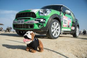 Mini Countryman Dakar rally 2013 года